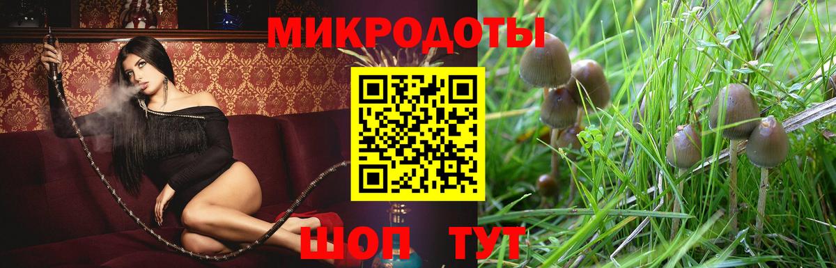 Галлюциногенные грибы Cubensis  Вход с VPN  Елизово 